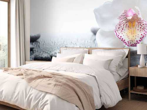 White orchid
