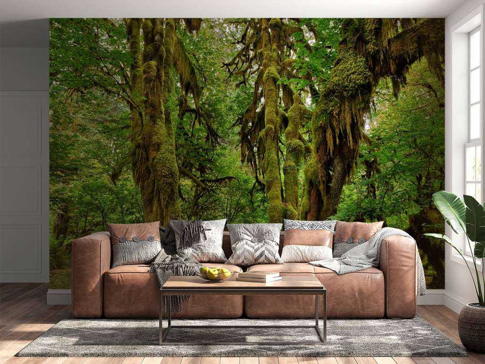 Old wilderness forest