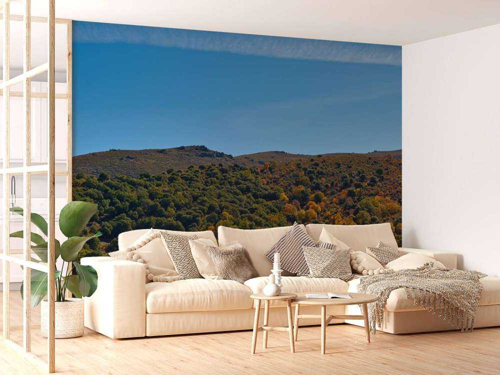 Autumn in the mountains