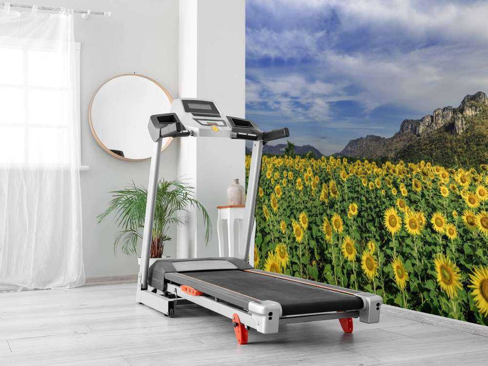 Yellow blooming field