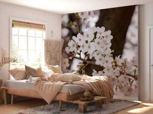 White blossoms