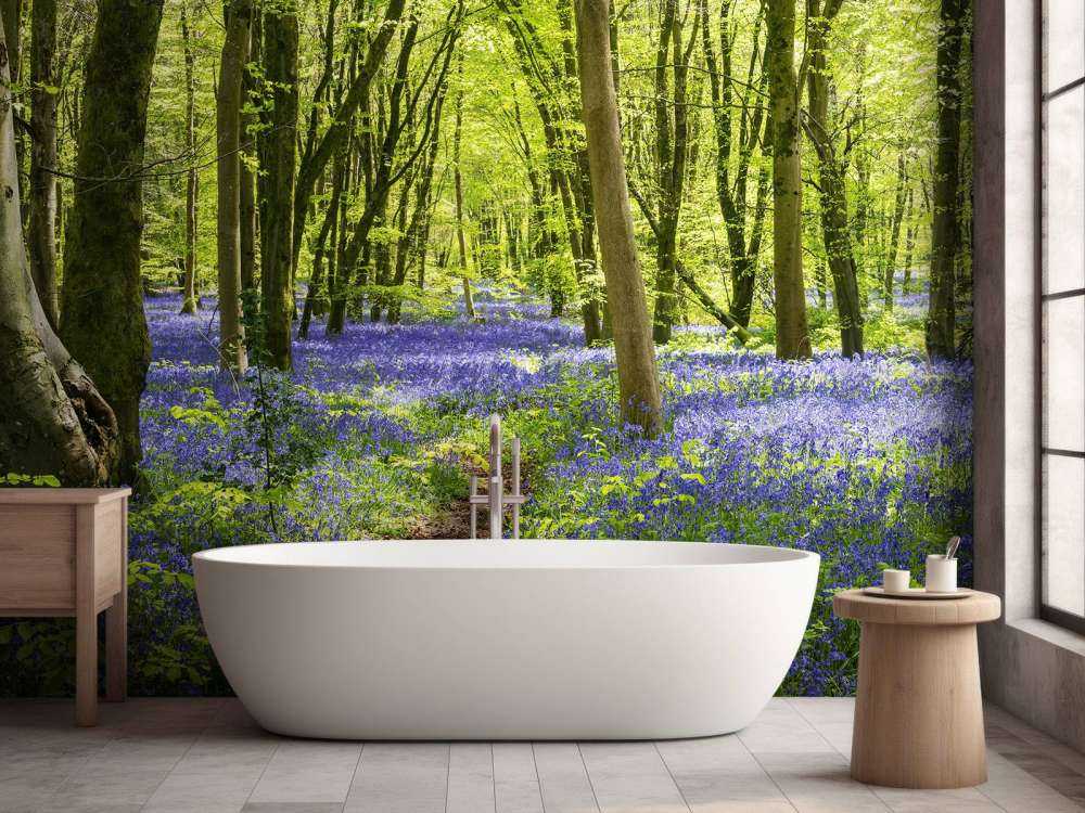 Forest in the sunlight