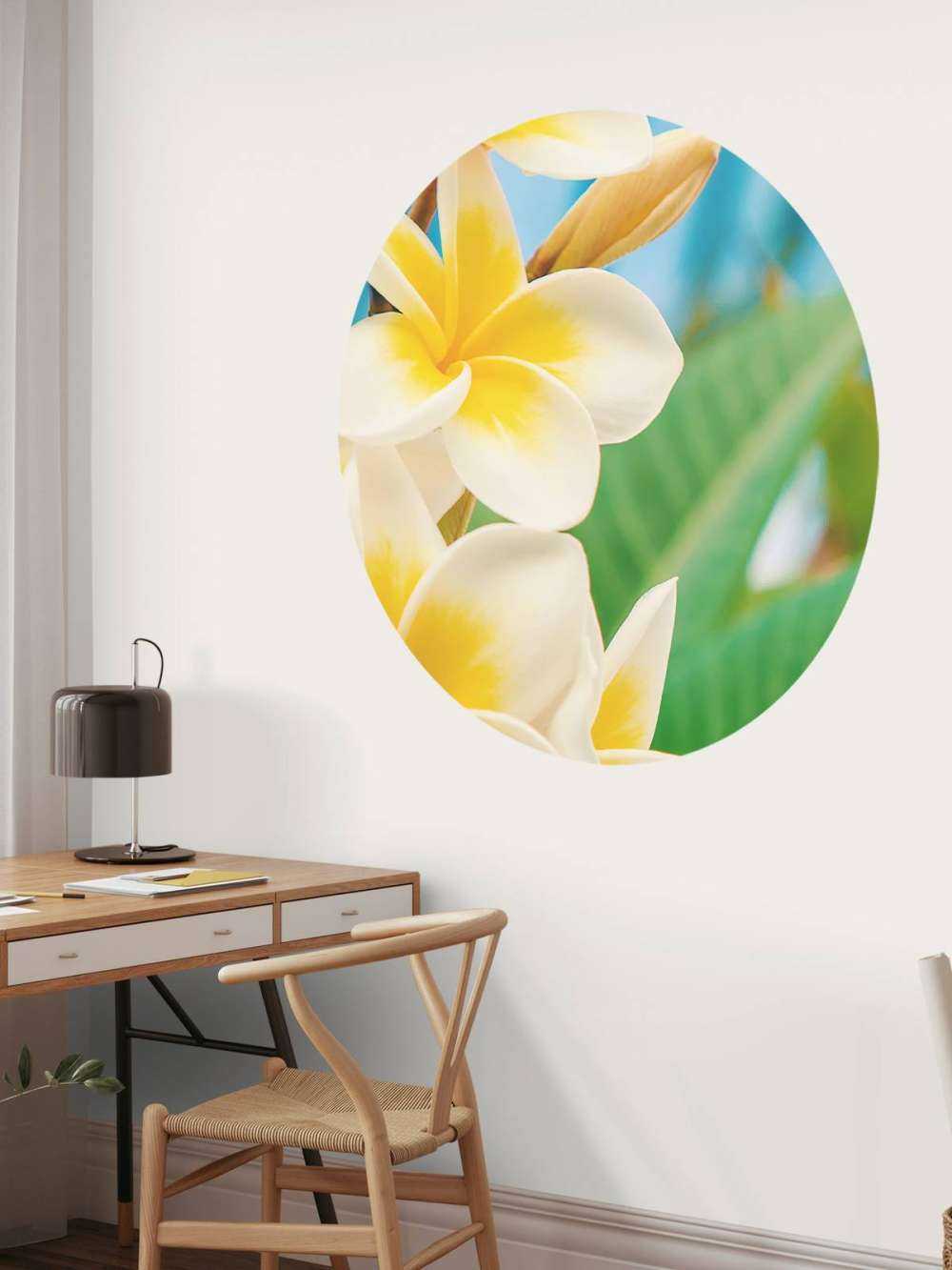 White Yellow Plumeria Flower