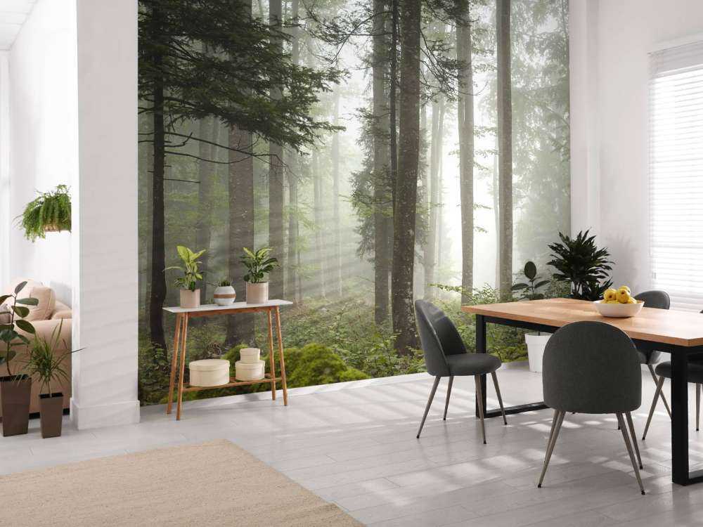 Beautiful foggy landscape