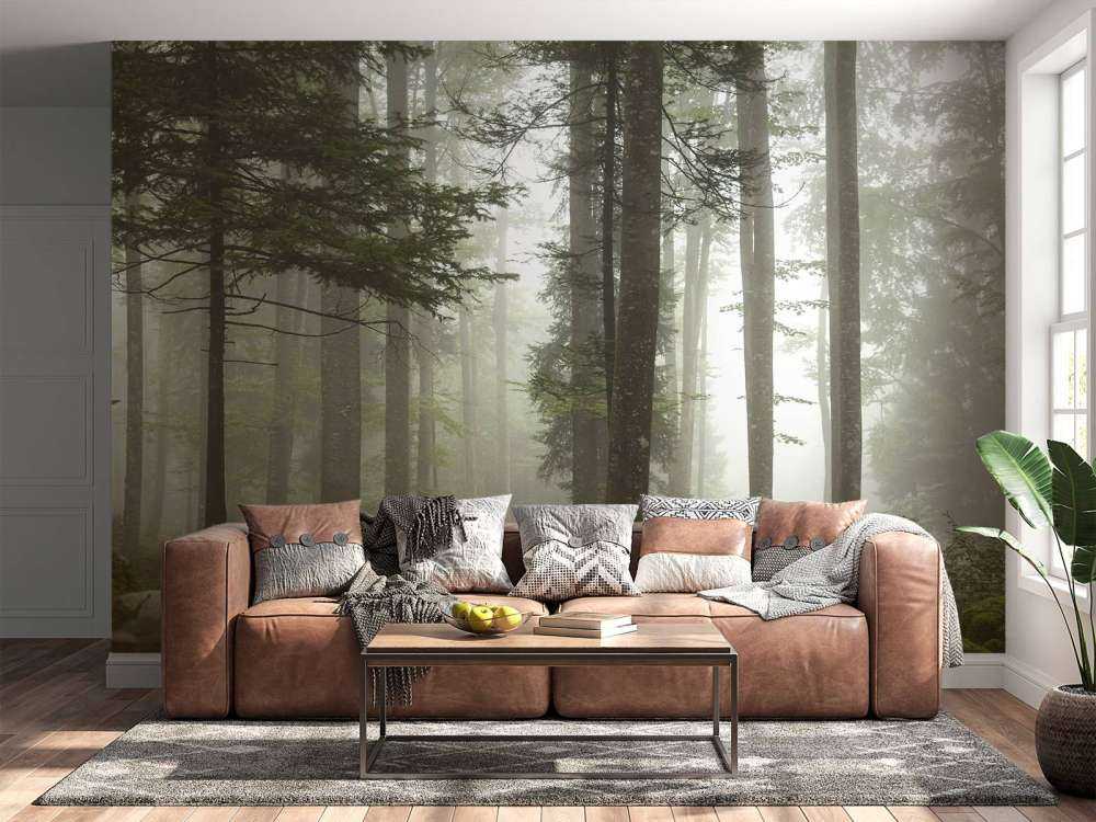 Beautiful foggy landscape