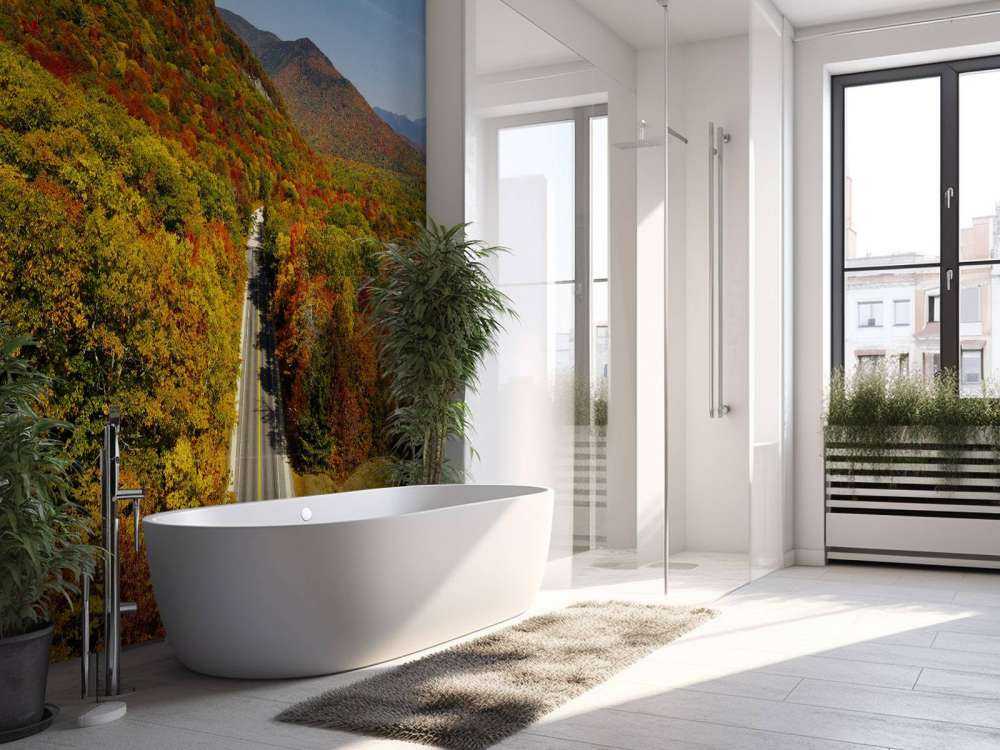 Road through the autumn landscape