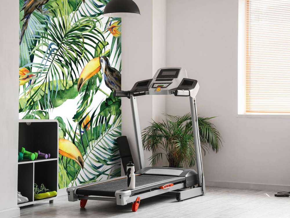 Toucan between the leaves