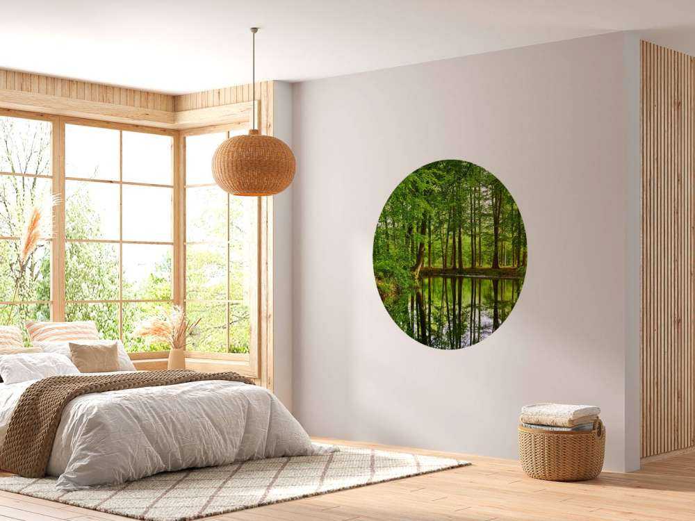 Reflection of trees in water