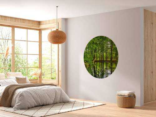 Reflection of trees in water
