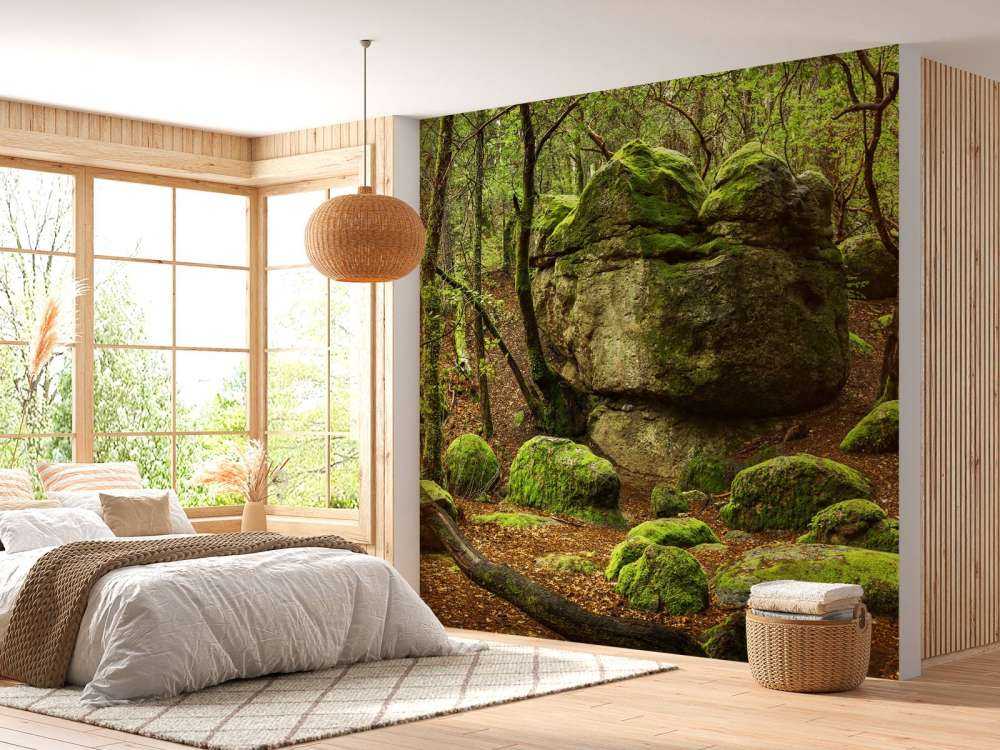 Enchanting forest