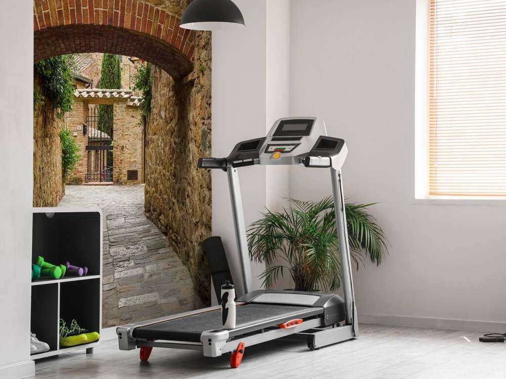 Little arch with red flowers