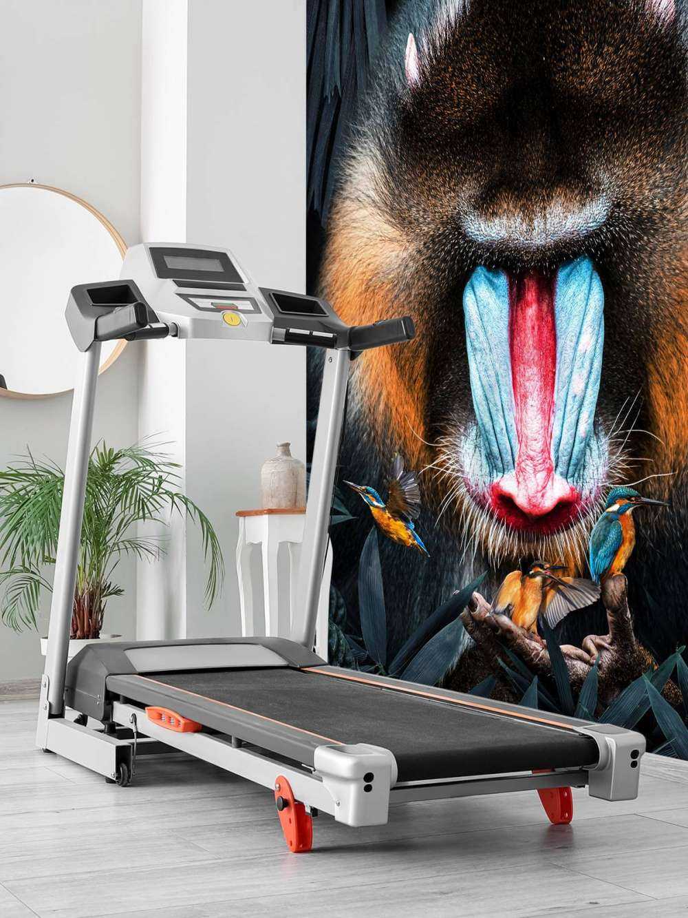 Mandrill Portrait