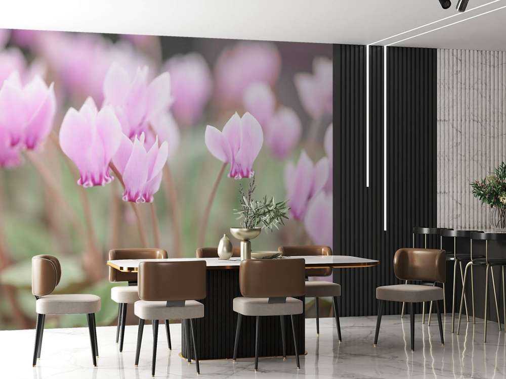 Beautiful ivy flowers