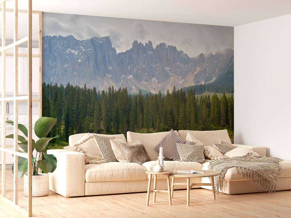 Tree line at mountain lake