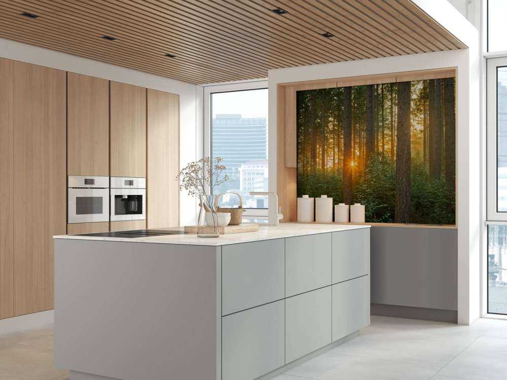 Sunbeams in a coniferous forest