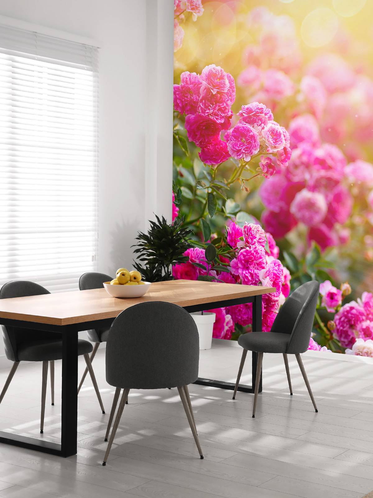 Pink rose bushes
