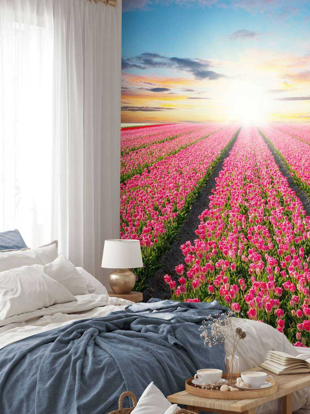 Tulips with rising sun