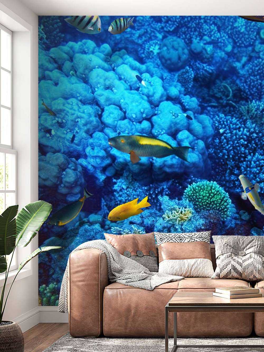 Fish and coral