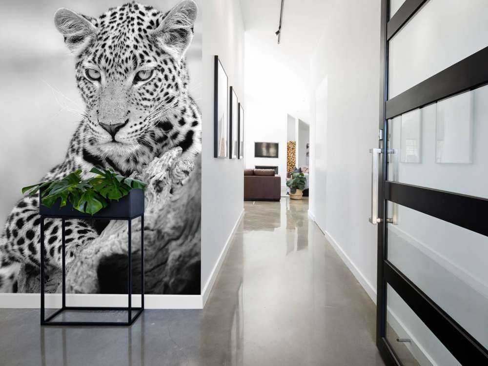 Leopard black, white