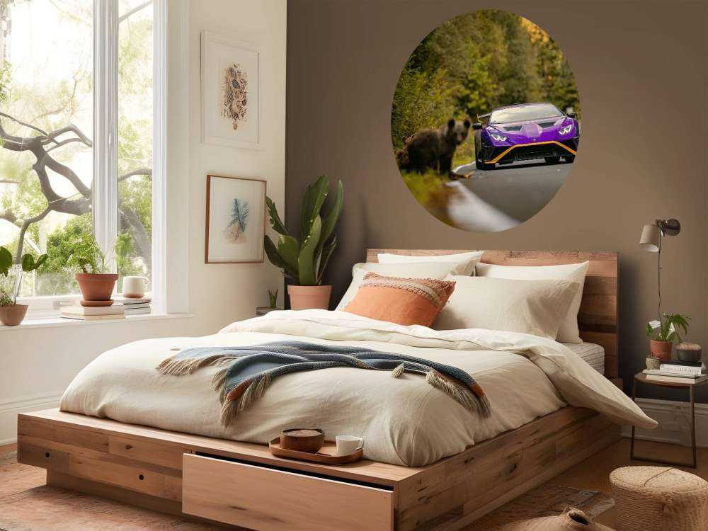 Lamborghini vs. wilderness