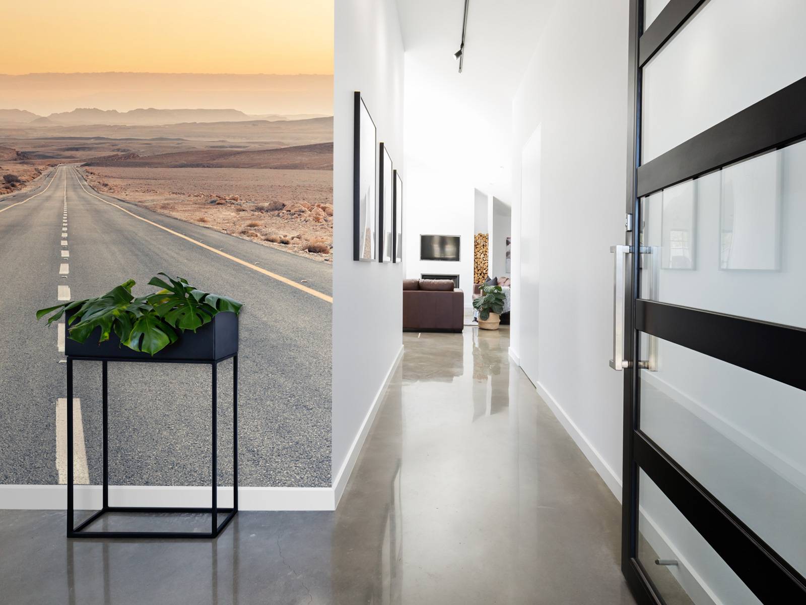 Desert road