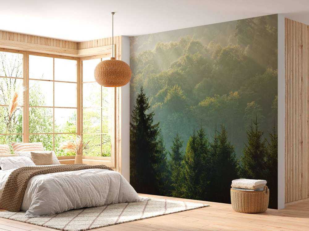 Sunbeams over the forest