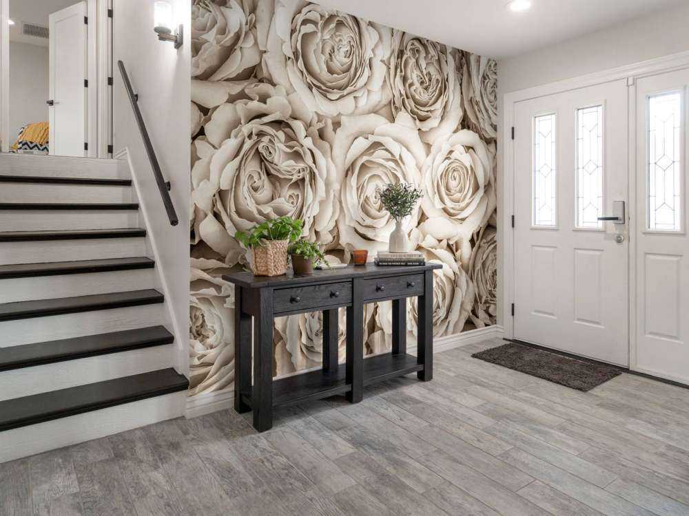 Background of roses