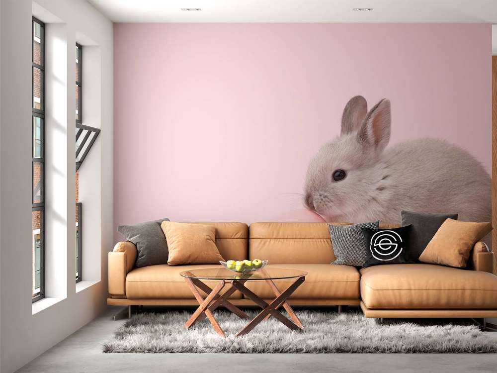 Rabbit with egg