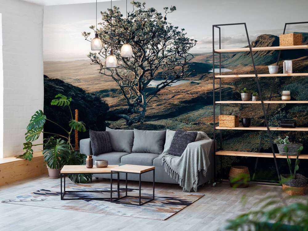 The beginning of the day