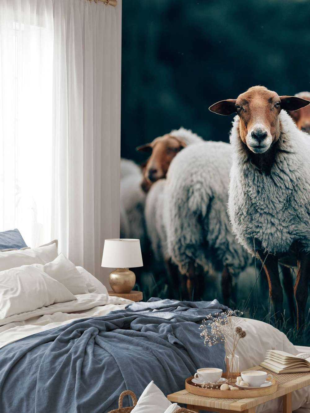 Sheep in the evening