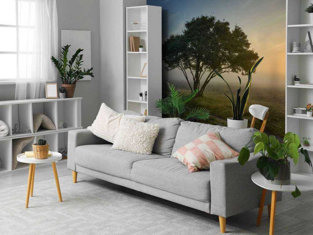 Sunrise on the heath