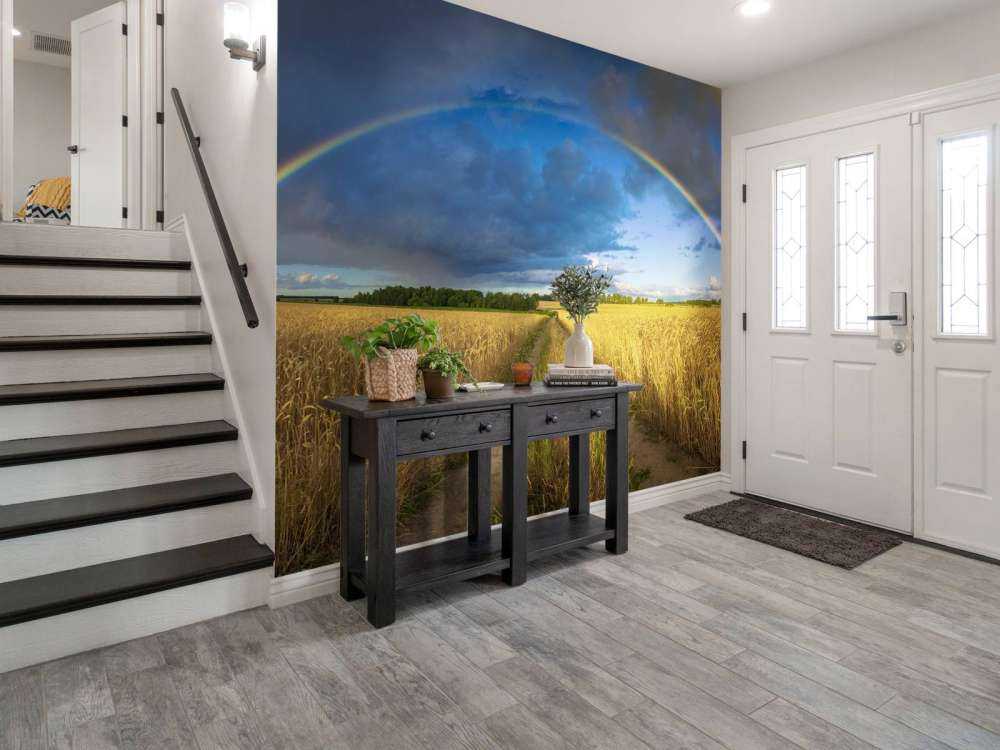 Rainbow over a wheat field