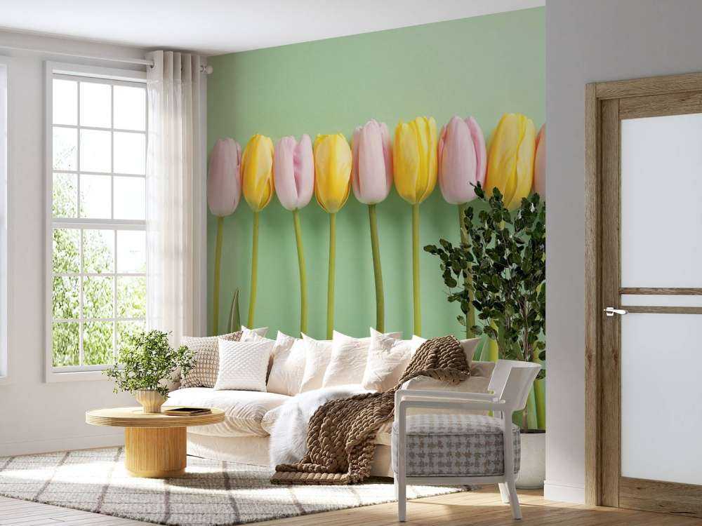 Tulips on mint green background