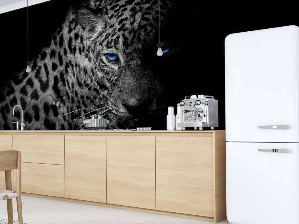 Leopard on black background