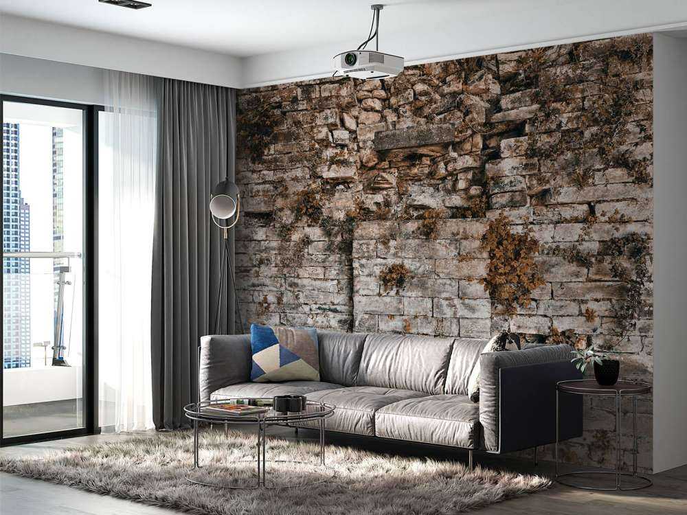 Vegetated wall in autumn