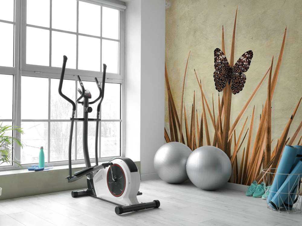 Butterfly near old wall