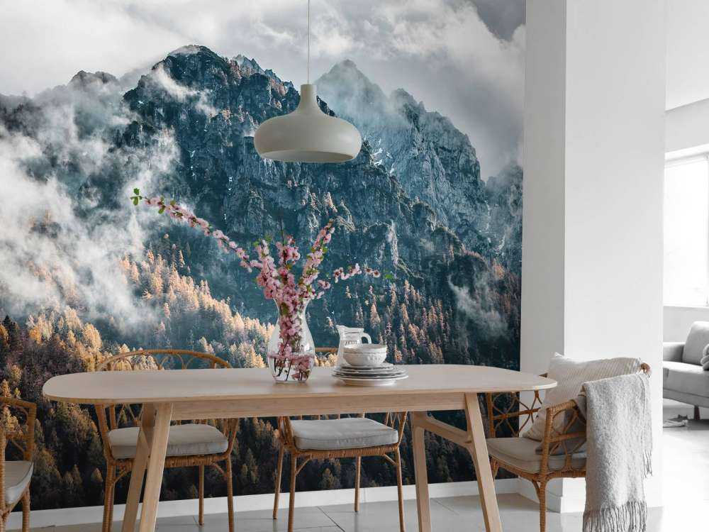 Fog in the mountains