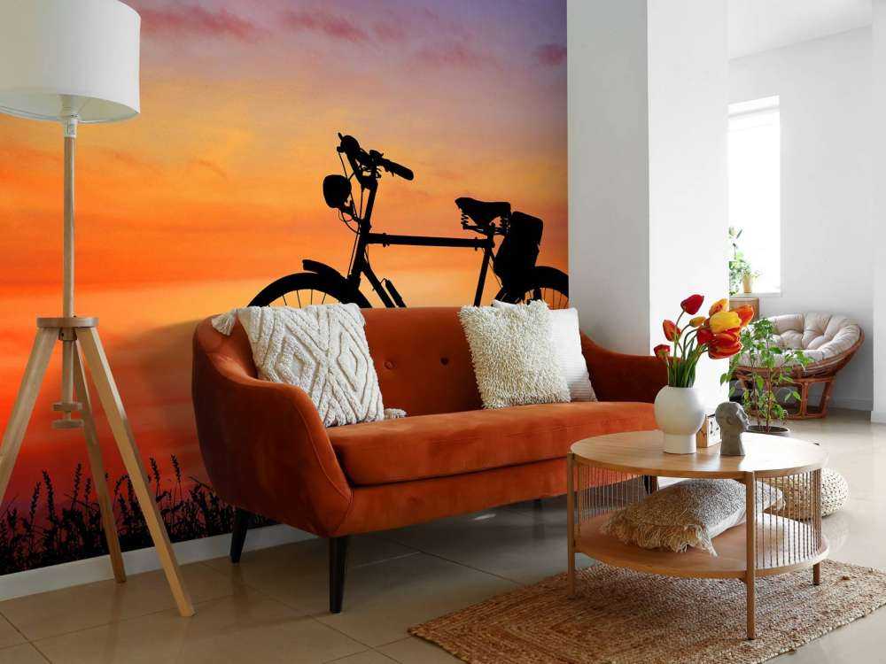 Vintage bike at sunset