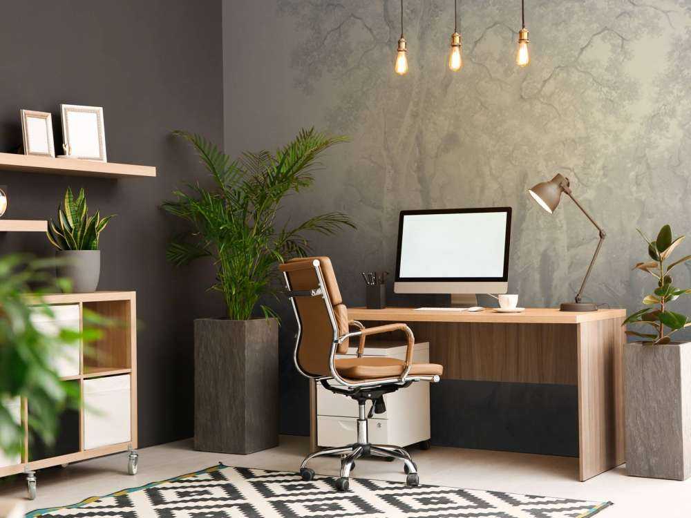 Forest Landscape Blue Panorama