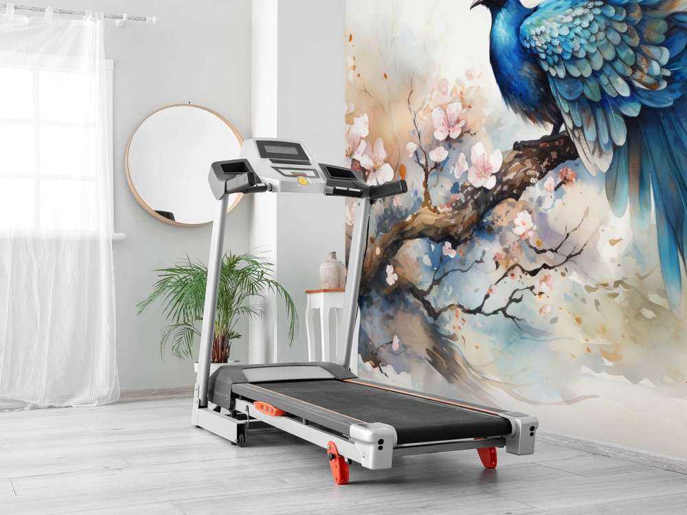 Peacock in Spring Mist