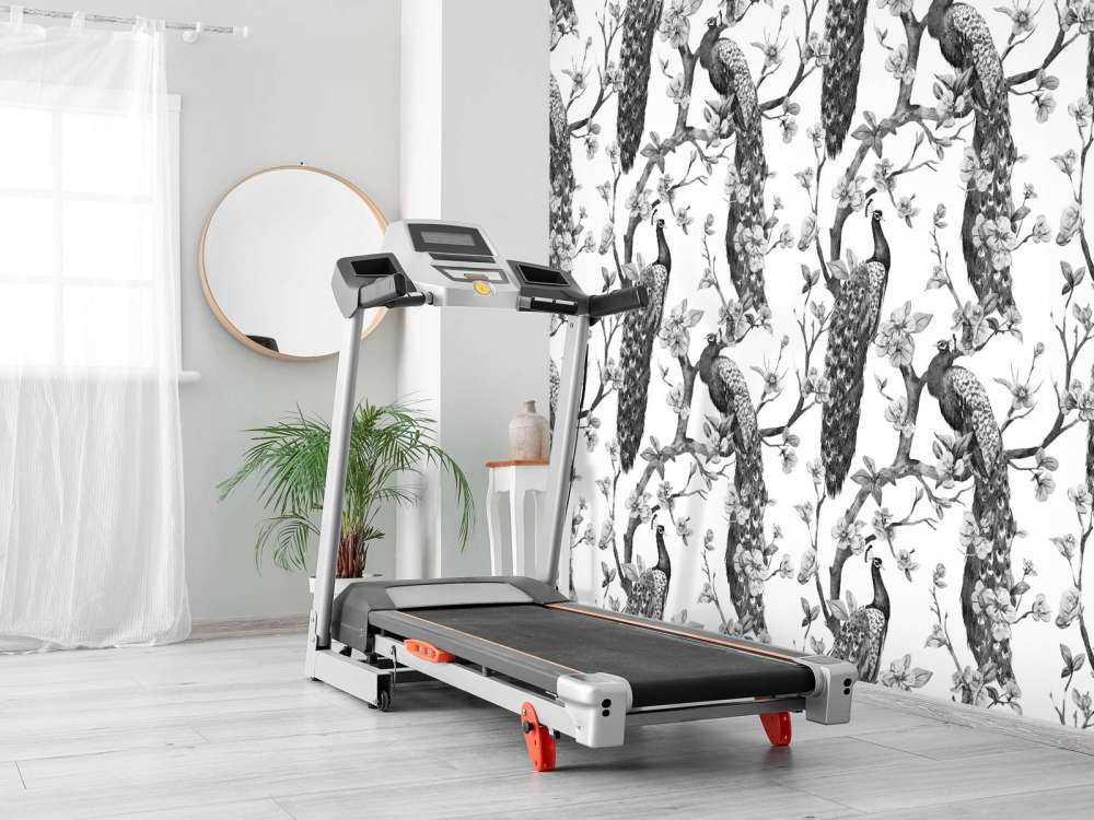 Monochrome Peacock Splendor