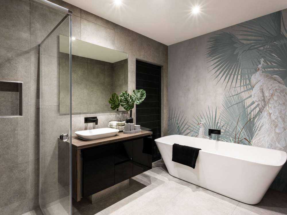 Quiet Elegance of the Peacock