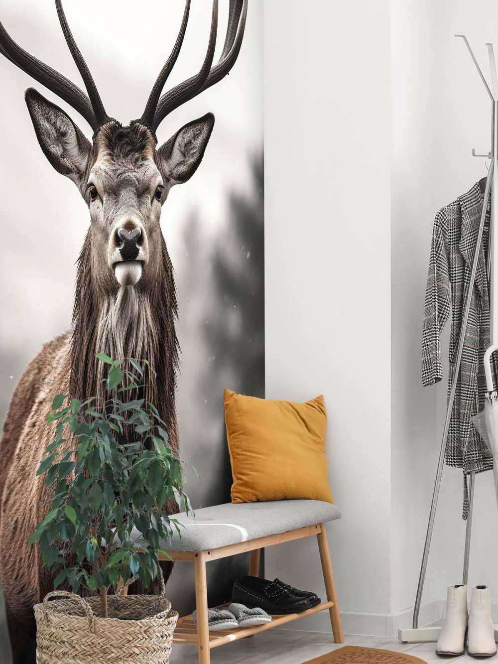 Winter King Deer Gaze