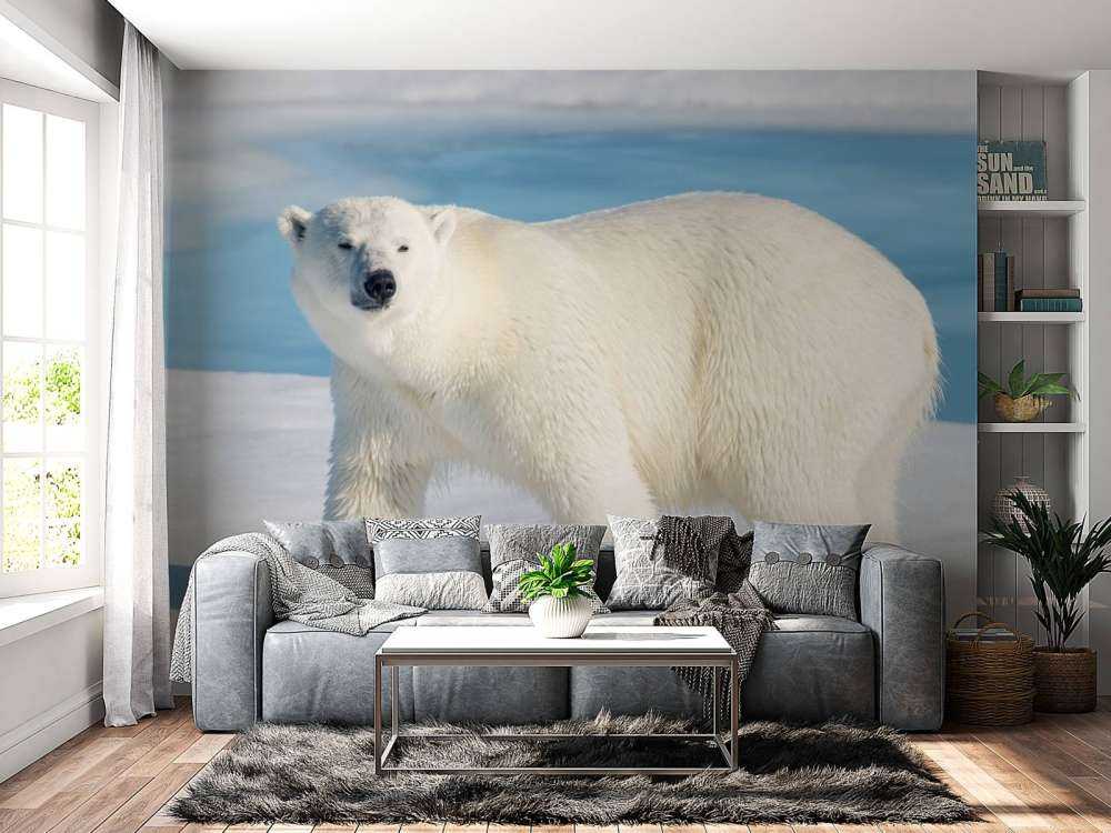 Polar bear