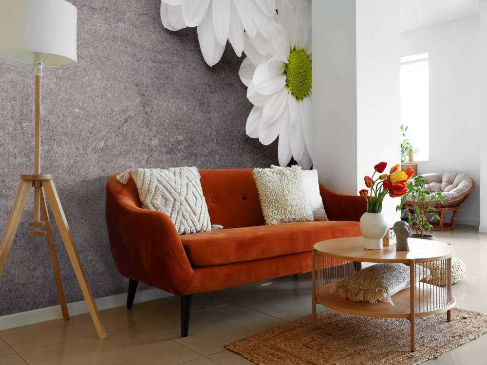 Daisies and concrete