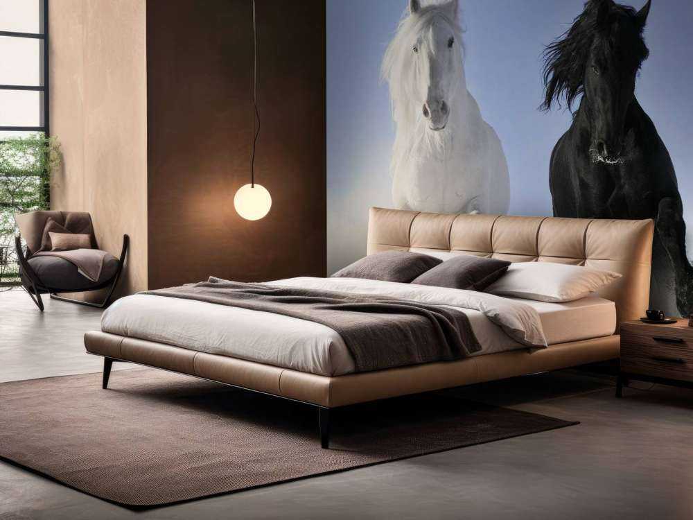 White and a black horse