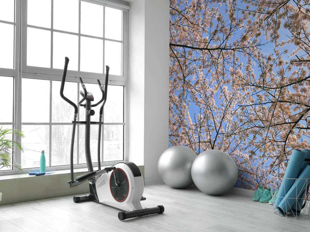 Flowering branches in bloom