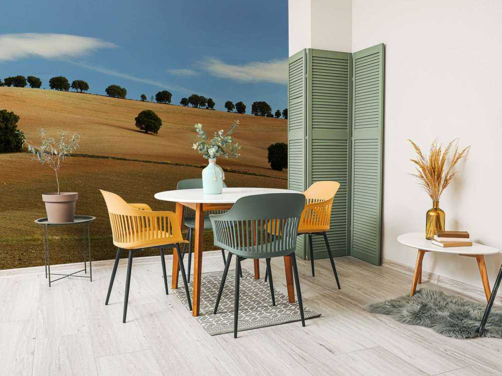 Trees in Spanish landscape