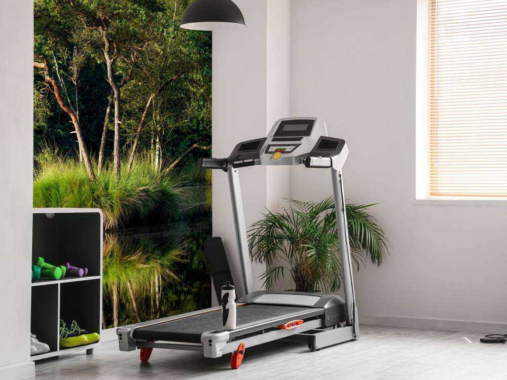 Island in forest lake