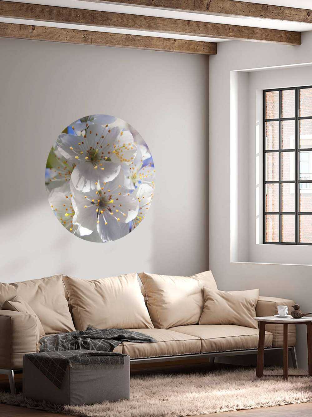 Close-up white blossoms